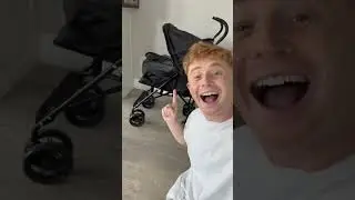 Testing a CAT STROLLER from Amazon!