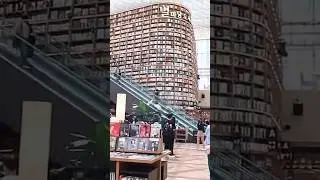 Korea Travel -Starfield Library #Korea #travelvlog #travel