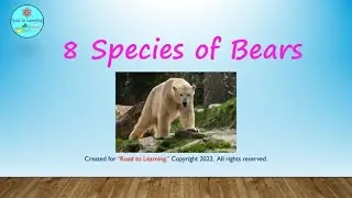 Science for Kids-8 Species of Bears- Road to Learning