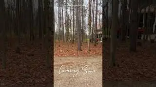 48+ Acre Property in Brockton Coming Soon to REALTOR.ca | Susan Moffat, Grey Bruce REALTOR&reg;