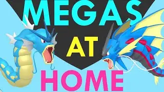 GYARADOS MEGAS AT HOME!?#pokemon #pokemonguide