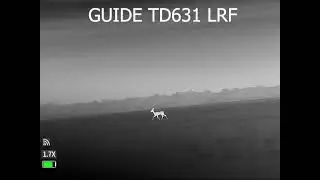 Ночная жизнь дикой природы с тепловизором GUIDE TD631 LRF