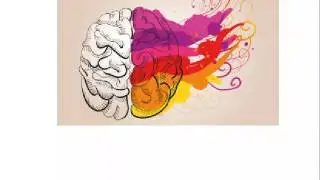 intelimax iq funciona