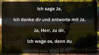 Du sagst Ja von Christoph Zehendner (mit Text)