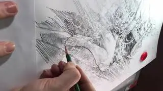 'Flutter' Video Part 1: Graphite Drawing with Silverleaf- Scott M Fischer