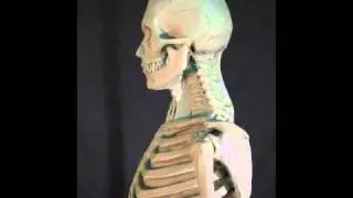 &Eacute;corch&eacute;
