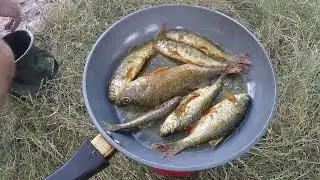 РЫБАЛКА ОТДЫХ НА СТАВКЕ
