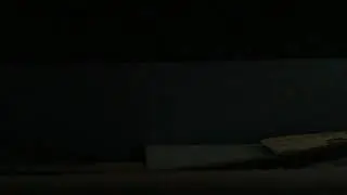 The Backyardigans: Trash Day