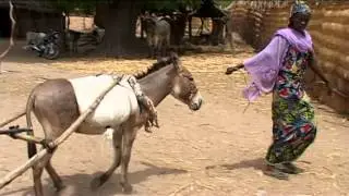 Diyam Wala: Water and Life in Kalfou Cameroon (2012)
