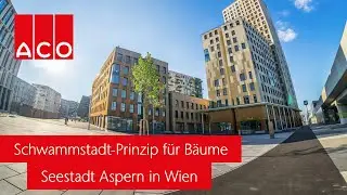 Das Schwammstadt Prinzip: Bäume kühlen die Seestadt Aspern in Wien | ACO Green City