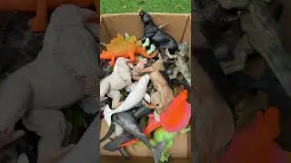 Hunting Jurassic World Toy Dinosaur Collection ASMR