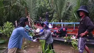 International Mangrove Day 2024