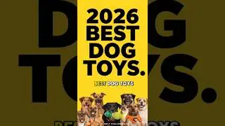 Лучшие игрушки для собак 2026 года: для щенков и грызунов, чтобы занять их, стимулировать умствен...