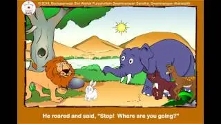 The Timid Rabbit