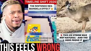 These Disturbing Videos Don&rsquo;t Sit Right With Me