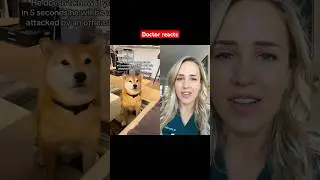 Doctor reacts: vicious dog attack