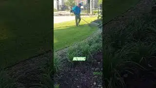 How to Mow a lawn #grass #cuttingskills #cutter #edges #subscribe #quick