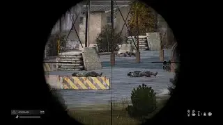 DayZ Australia PVP