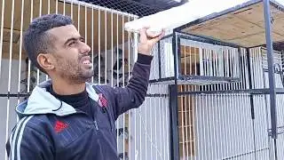 طريقة استعمال العداد الالكتروني تيبس tipes