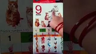 Number 9 #kidslearning #kidsnumbercounting #kidslearningnumbers #shorts #viral