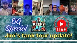 Reefy AF - Jim's Tank Tour Update!