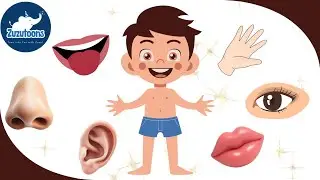 Parts of the Body for Kids | Body Parts Name in English | Fun Learning Video @CoComelon #kids 