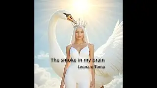 The smoke in my brain