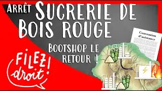 Arrêt Sucrerie de Bois Rouge, Ccas, 13 janv. 2020, assimilation faute délictuelle et contractuelle