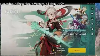 Genshin Impact - Manual Patch Installation