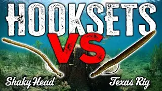 CORRECT Bass Fishing Hookset: Hook Fish Like a Pro (Texas Rig & Shaky Head)