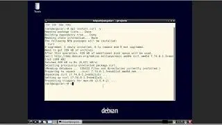 Error: the angular CLI requires a minimum Node.js version