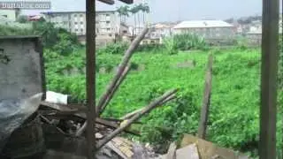 Nigeria: 'Monkey Village' hidden in Ikeja, Lagos