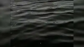 Calm Ambient Music for Relaxation & Study | Quiet River Drift