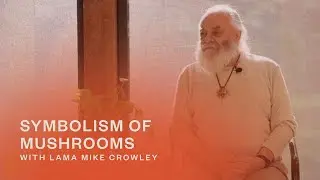 Symbolism of Mushrooms: Decoding The Divine Feminine |  Lama Mike Crowley