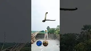 Pacman vs Snake, dinosour, Alien dance - magic video