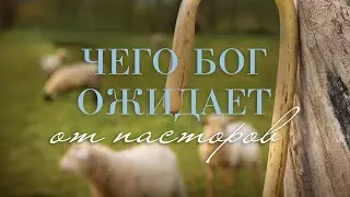2. Чего Бог ожидает от пасторов &ndash; &laquo;Служение пастора&raquo;. Рик Реннер