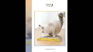 Eco-Friendly Cardboard Scratch Pad Cat Toy