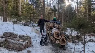 Loading and transporting maple wood using four-wheeler Honda Foreman 520