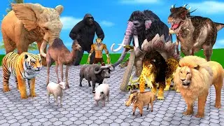 Death Run Who Will Win the Fight Saber Tooth Vs Zombie Mammoth Dinosaur Tiger Elephant Lion Animals