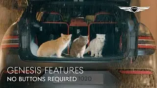 No Buttons Required | Smart Tailgate | Genesis