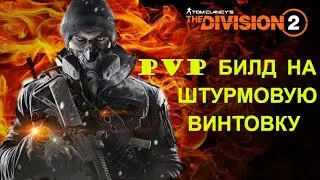 PVP БИЛД НА ШТУРМОВУЮ ВИНТОВКУ | ПАТЧ 11 | The Division 2