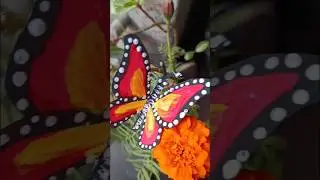 beautiful butterfly drawing realistic #song #love #artscraft #video #drawing #painting
