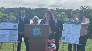 Press Conference: NYLCV and Albany County Legislators