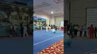Wu shu Tai chi T&uuml;rkiye Şampiyonası
