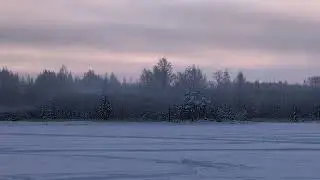 Падал новогодний снег.