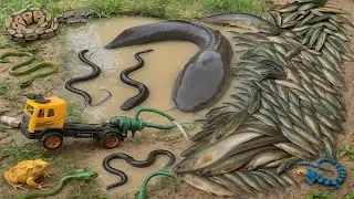 Relaxing Survival Fishing in Muddy Water | Mini Pump Adventure