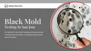 Black Mold Testing In San Jose