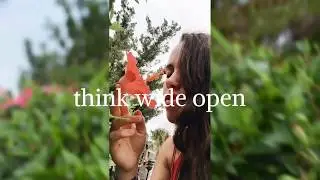 SUNY Purchase Video