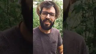 EPINARDS - Comment les semer