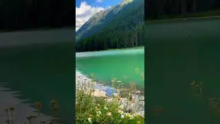Calm lake/Duffey Lake #shorts #canada #nature #relaxing #relaxingsound